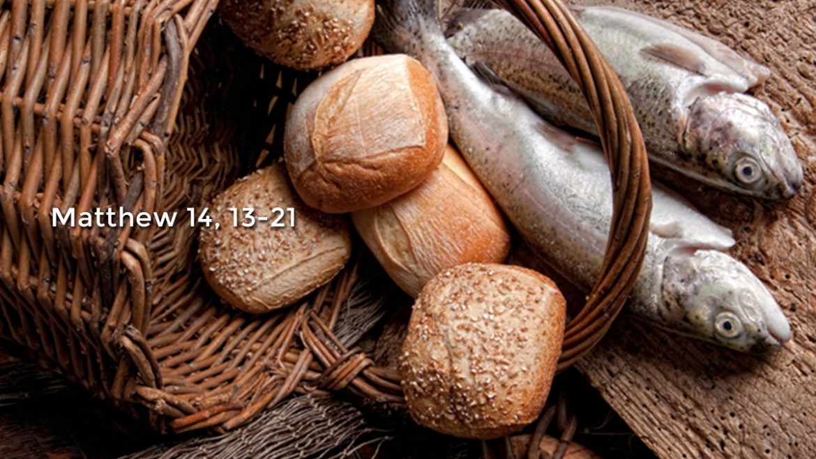 Matthew 14,13-21 - Digital Catholic Missionaries (DCM)