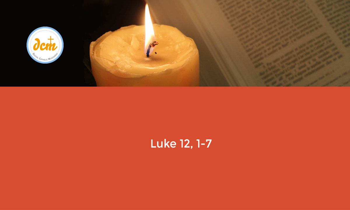 Luke 12 1 7 Digital Catholic Missionaries DCM luke-12-1-7-digital-catholic-missionaries-dcm