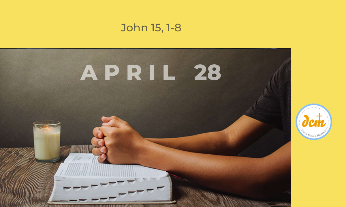 John 15, 1-8 - Digital Catholic Missionaries (DCM)